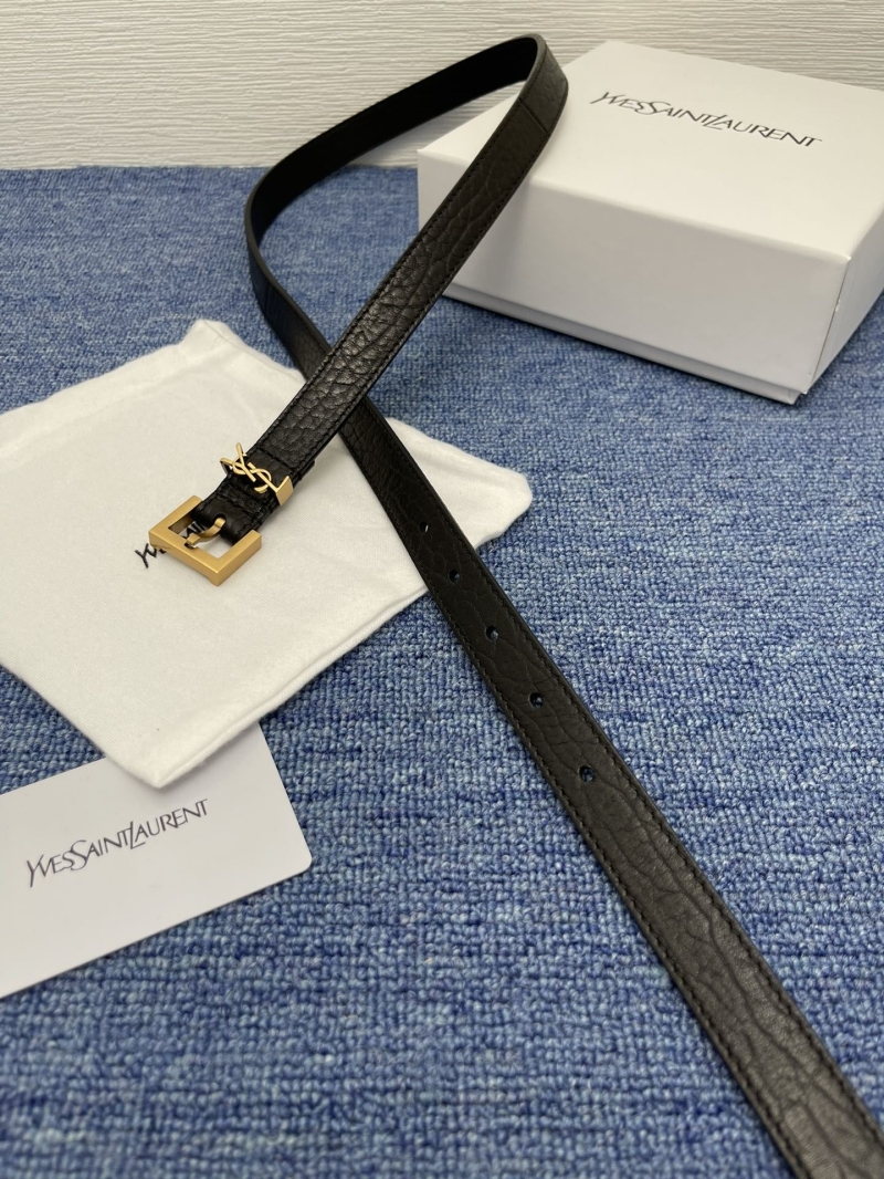 YSL Belts